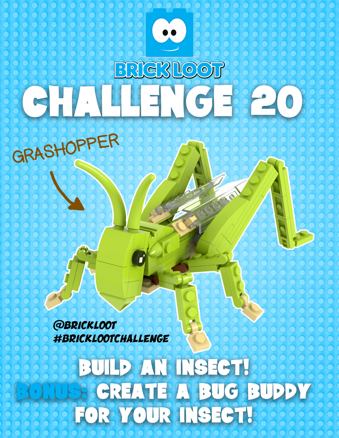 Brick Loot Build Challenge 20