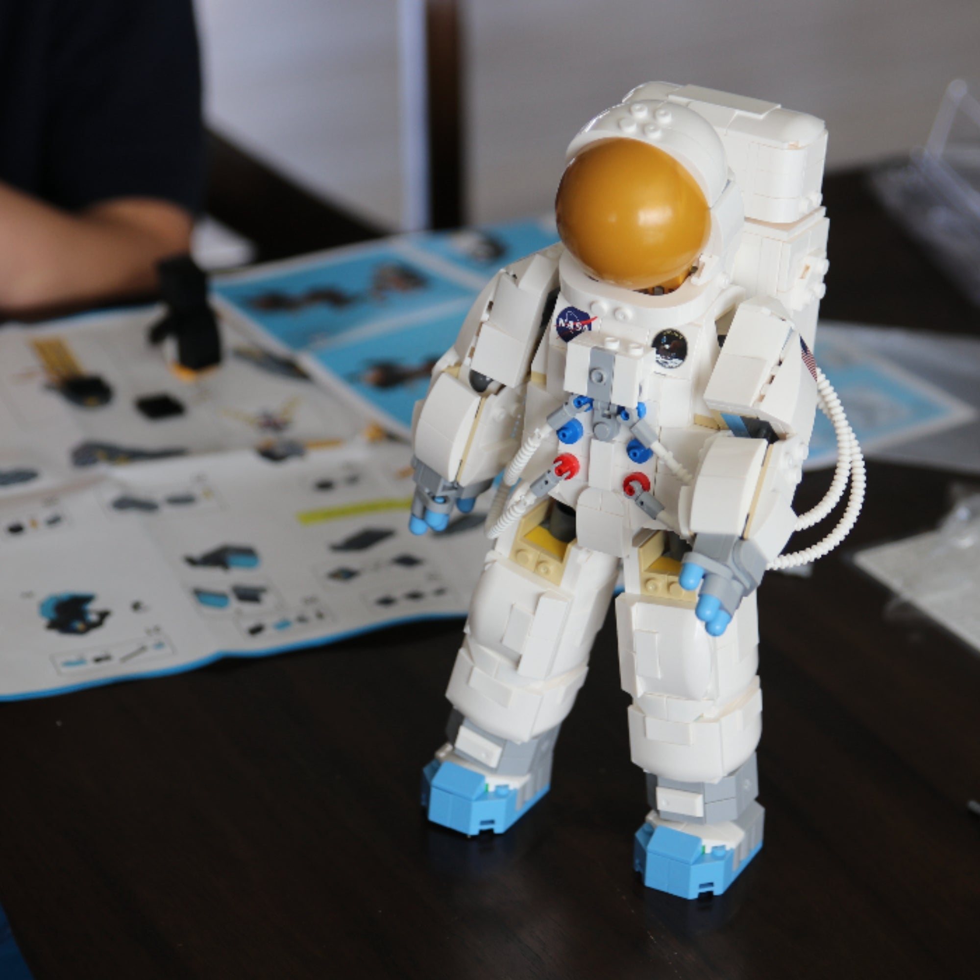 NASA Astronaut Brick Set