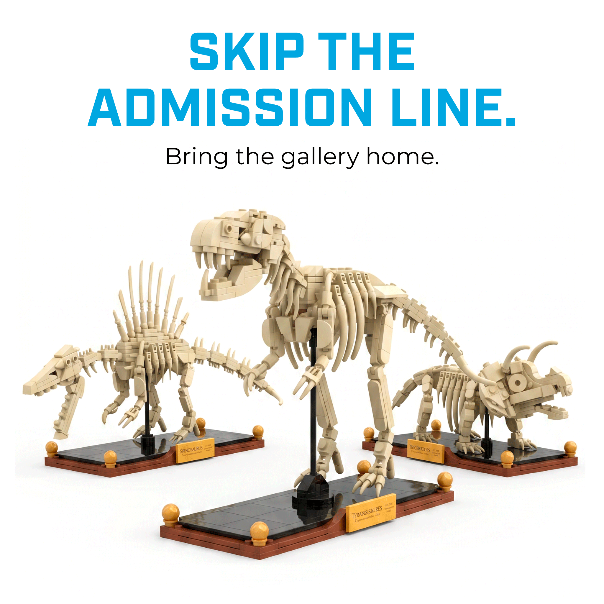 Dinosaur Fossil Brick Set Bundle