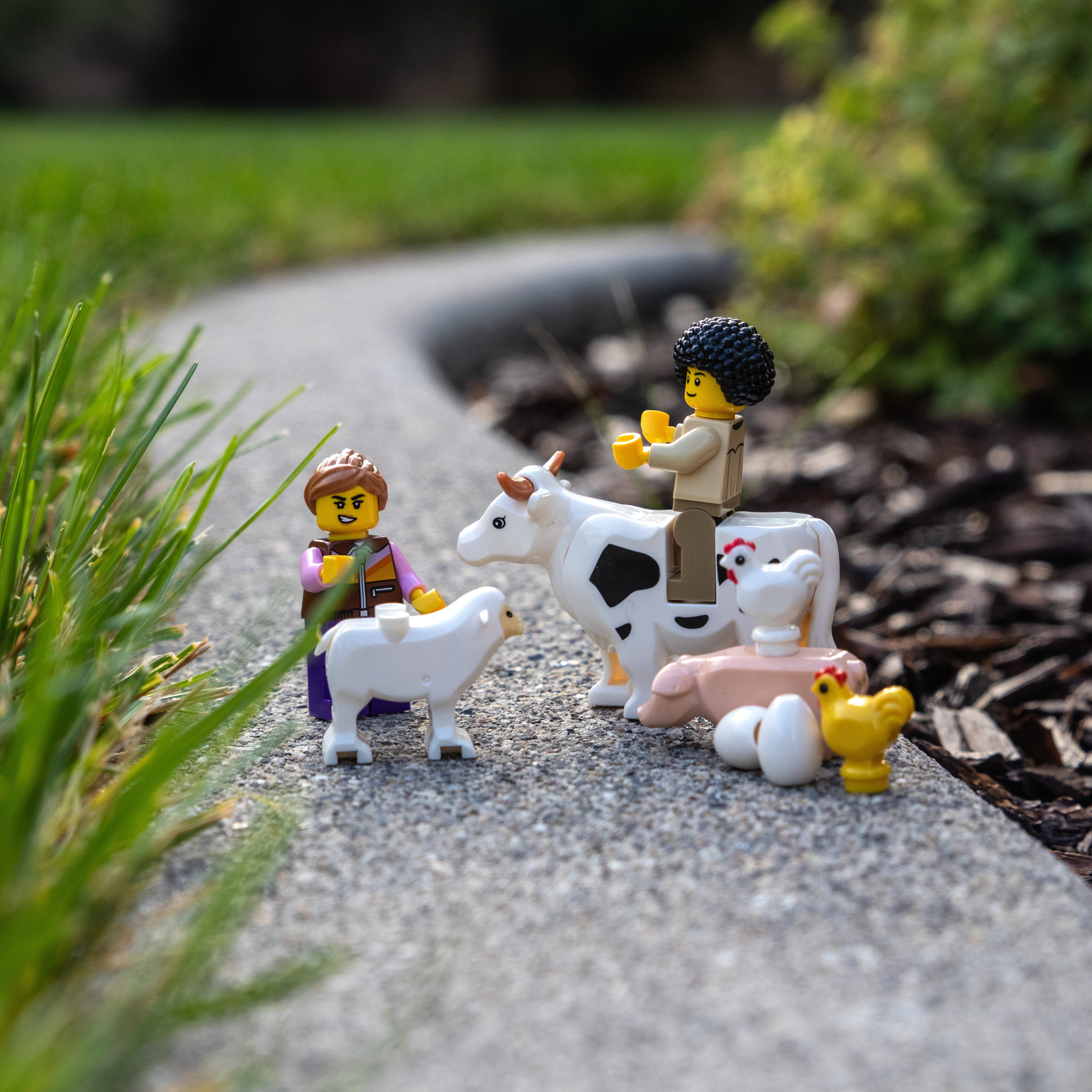 Farm Animal Accessory Pack