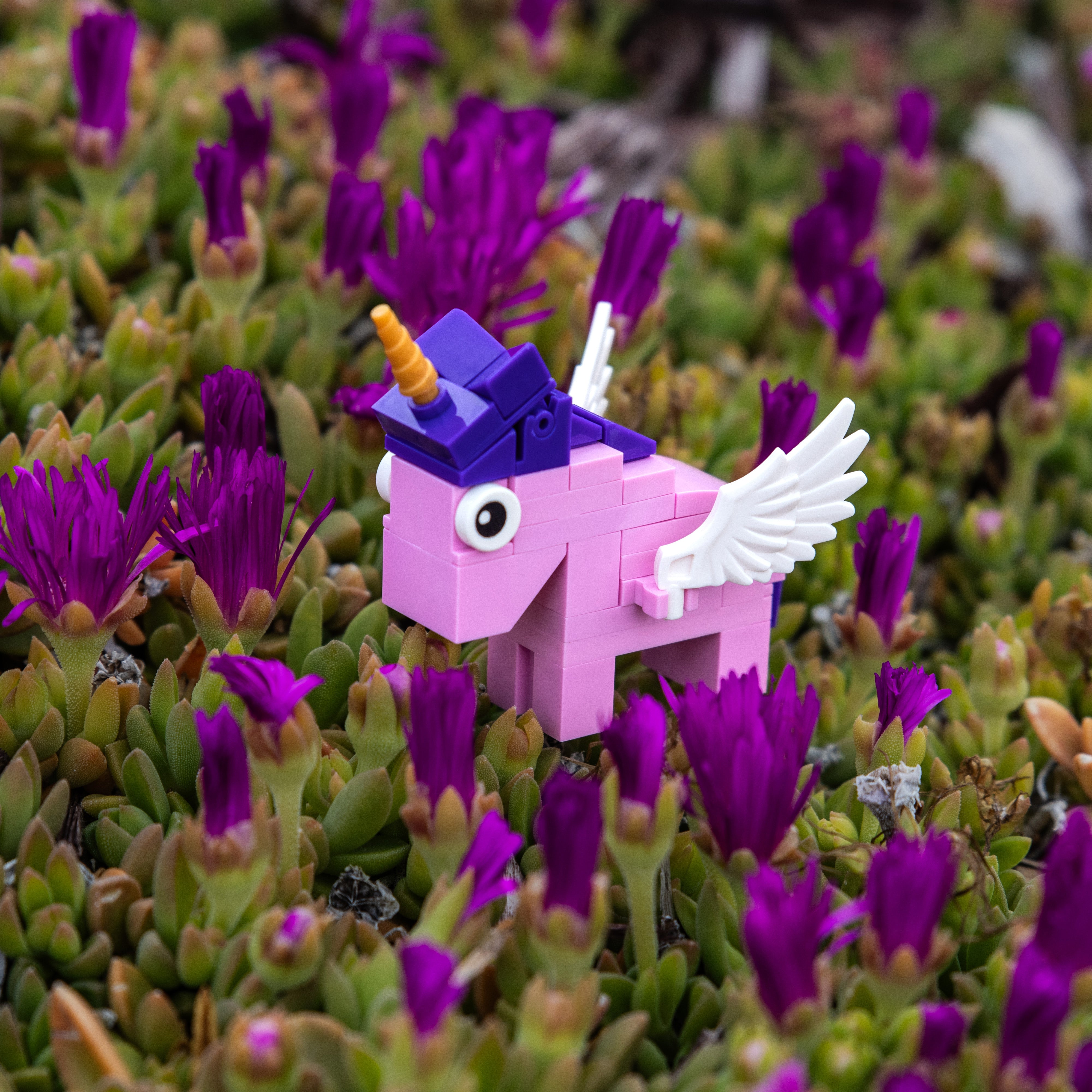 Mini Animal Brick Set Packs (10 Animals) – Candy-Free Party Favors