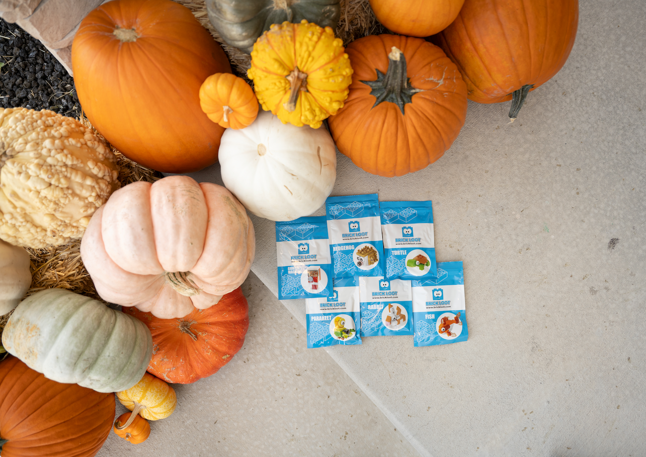 Assorted pumpkins with packets of small toy animals on a concrete surface