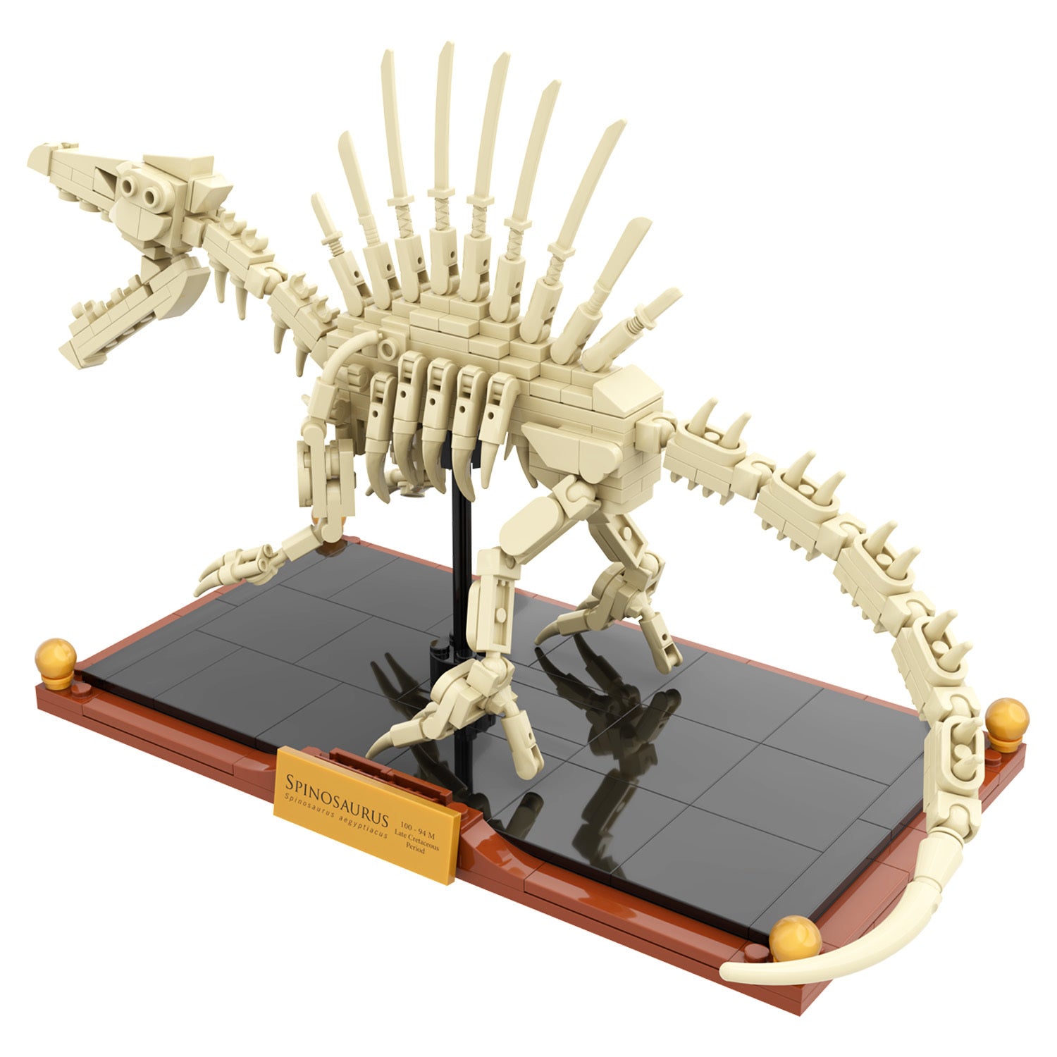 Spinosaurus Dinosaur Fossil Building Set | Display Model with Museum Base