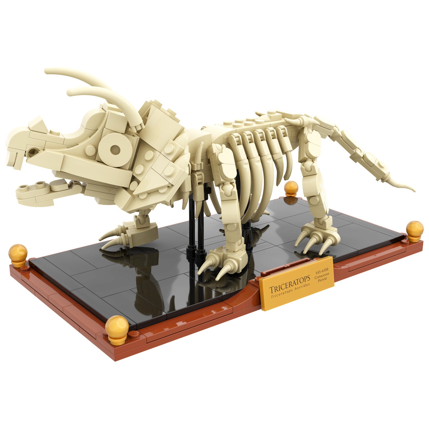 Triceratops Dinosaur Fossil Brick Set