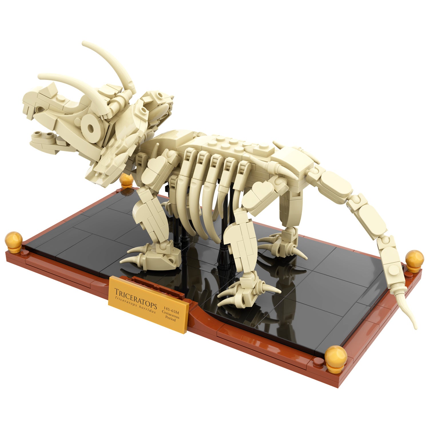 Triceratops Dinosaur Fossil Building Set | Display Model with Museum Base