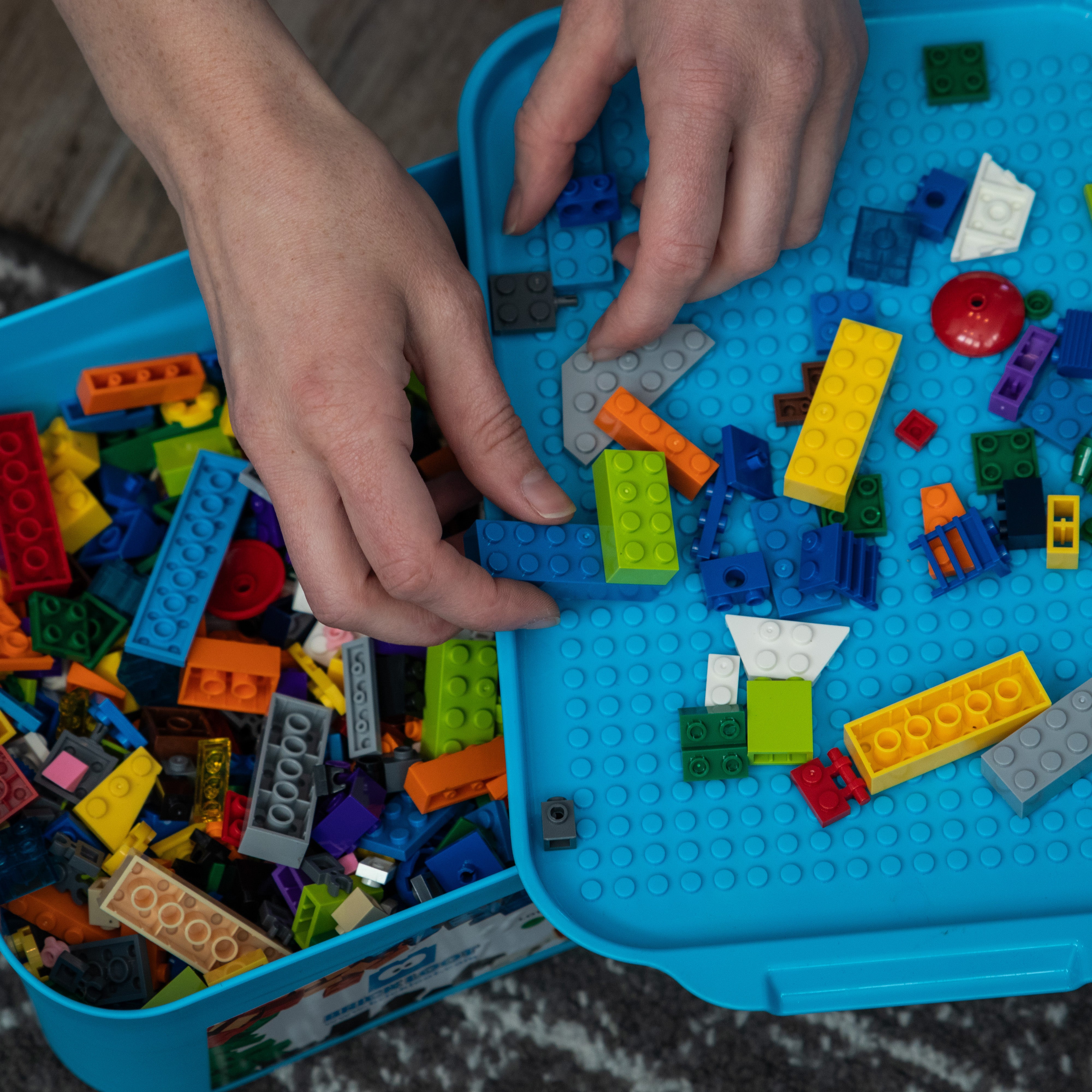 1,000 Bricks with Storage Bin