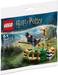 LEGO Polybag - Harry Potter:  Quidditch Practice 30651