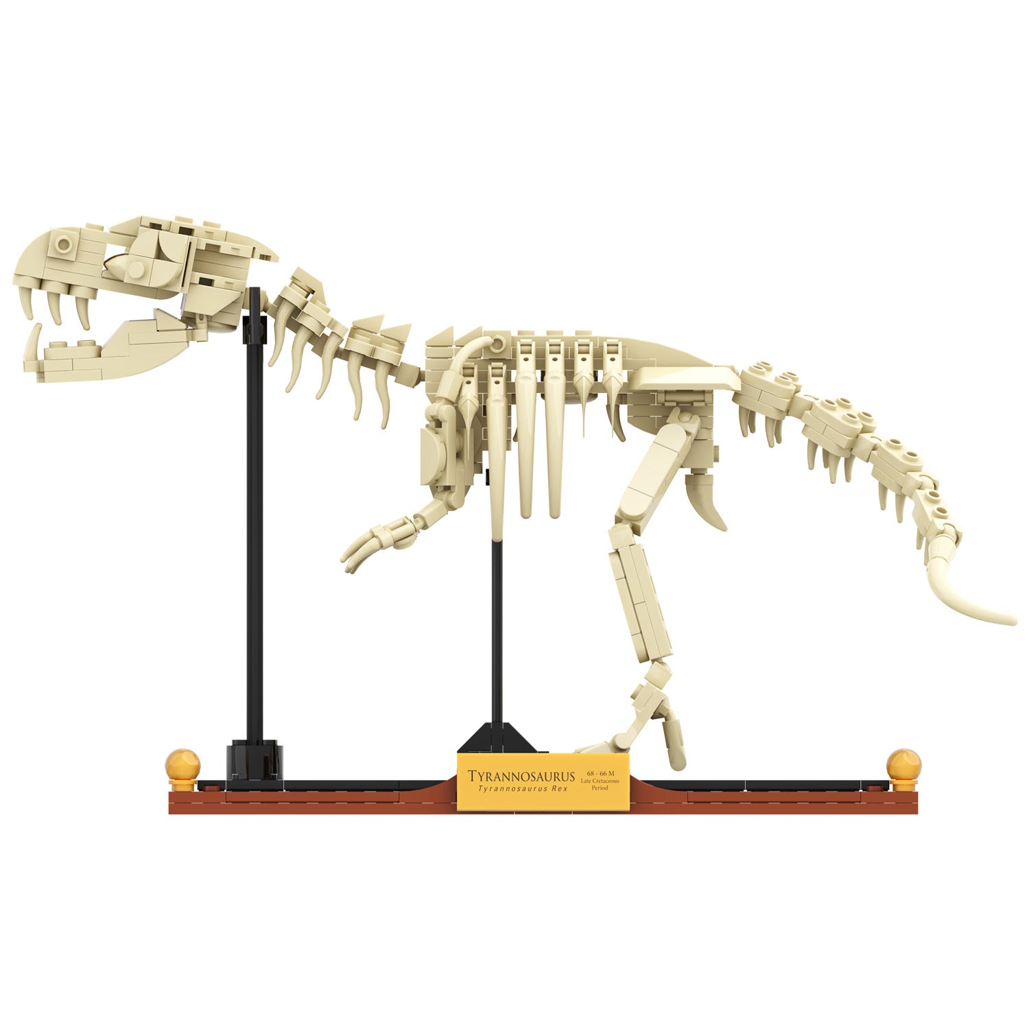T-Rex Dinosaur Fossil Building Set – Tyrannosaurus Rex Skeleton Display Model
