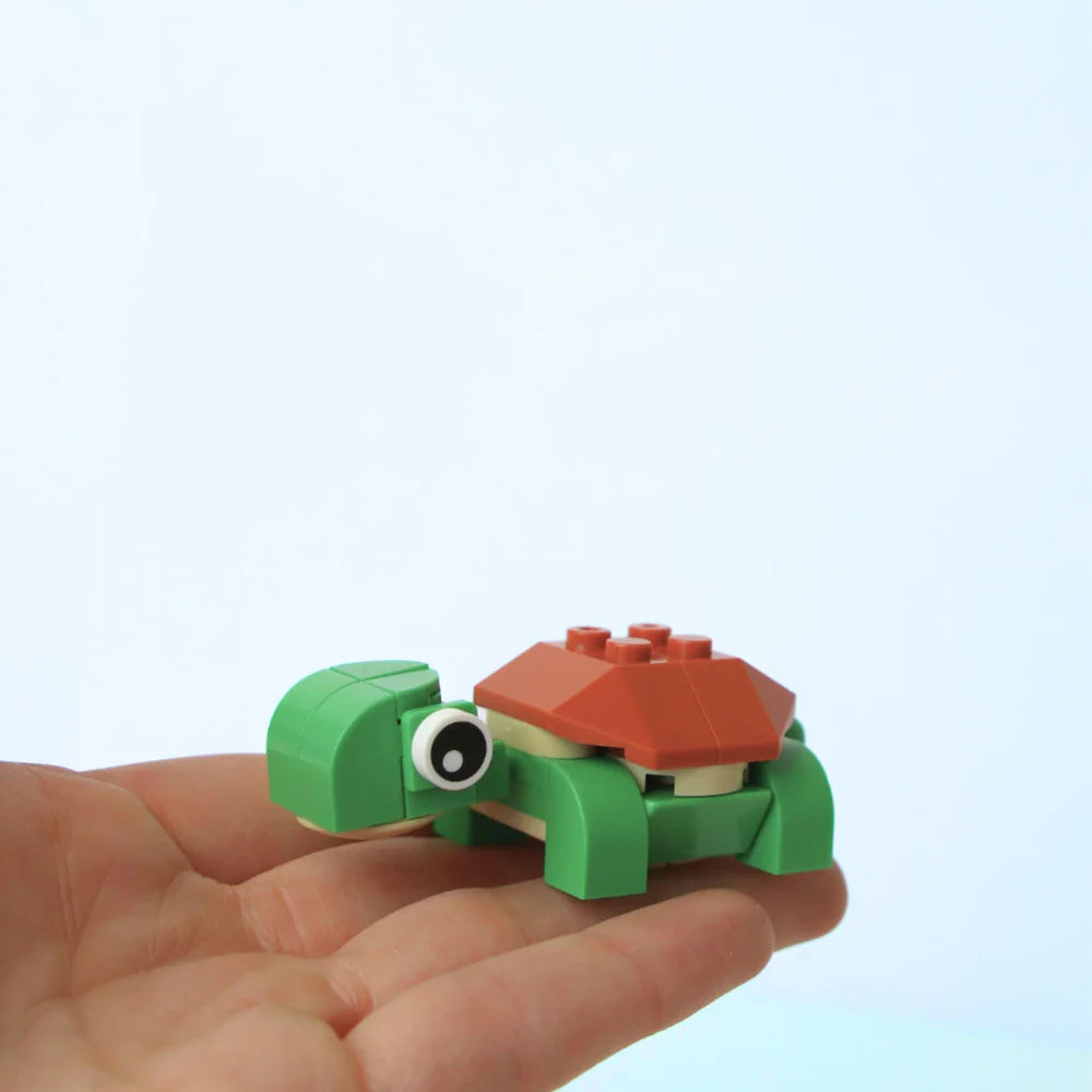Surf Shack and Wave - Past Subscription Box (FEB 2024)