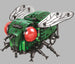 The Fly electric building set with motor set 1142. Sold by Brick Loot. A great STEM activity!